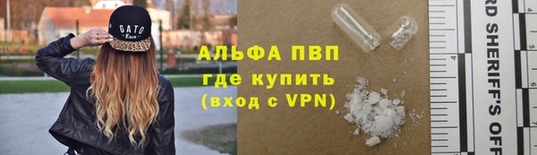 прущие грибы Зеленодольск