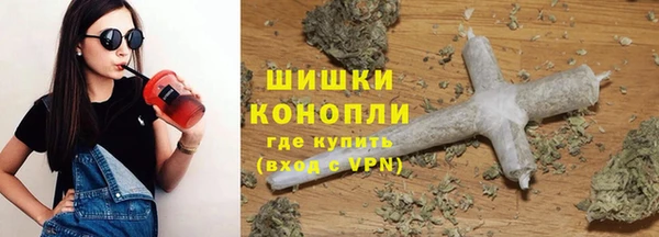 прущие грибы Зеленодольск