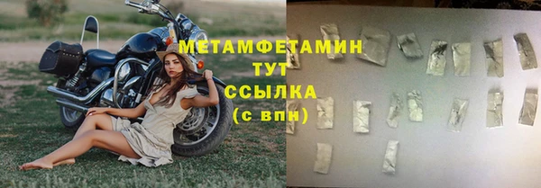 прущие грибы Зеленодольск